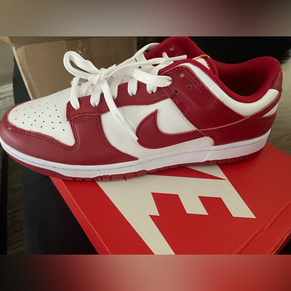 Men’s Nike Dunk Gym Red.